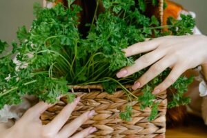 how to store green leafy vegetables