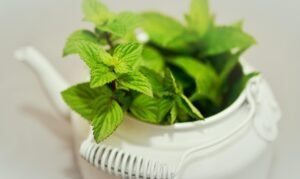Mint Vape Tastes Like Vanilla